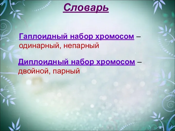 Словарь Гаплоидный набор хромосом – одинарный, непарный Диплоидный набор хромосом – двойной, парный