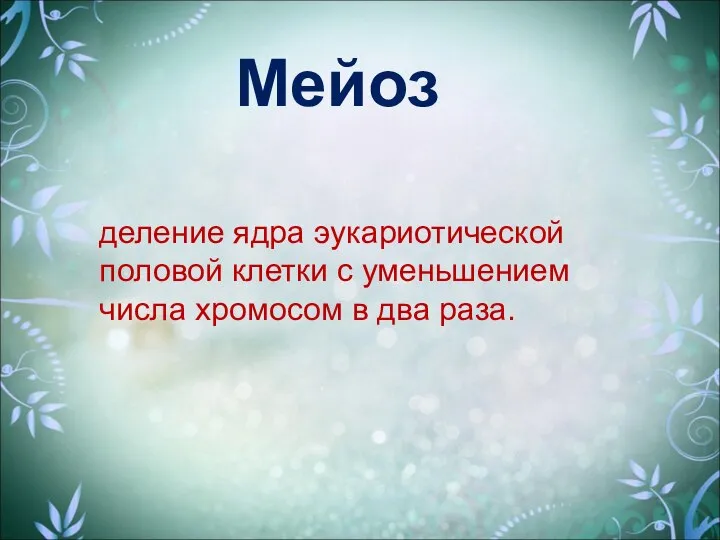 Мейоз деление ядра эукариотической половой клетки с уменьшением числа хромосом в два раза.