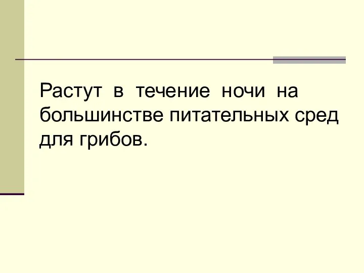 Растут в течение ночи на большинстве питательных сред для грибов.