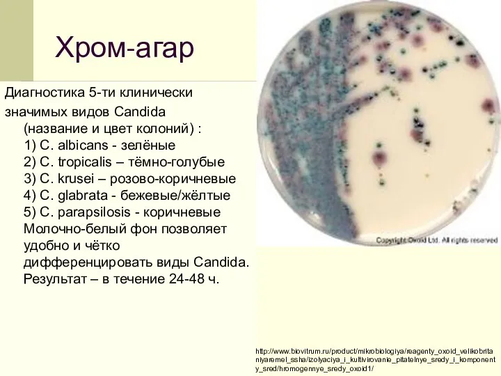 Хром-агар Диагностика 5-ти клинически значимых видов Candida (название и цвет колоний) :