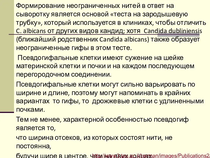 Формирование неограниченных нитей в ответ на сыворотку является основой «теста на зародышевую