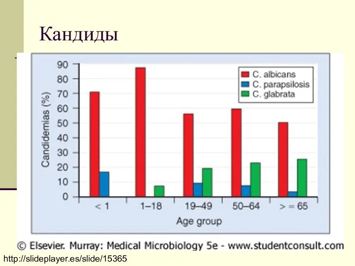 Кандиды http://slideplayer.es/slide/153658/