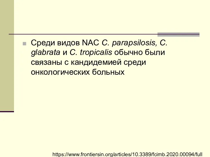 Среди видов NAC C. parapsilosis, C. glabrata и C. tropicalis обычно были