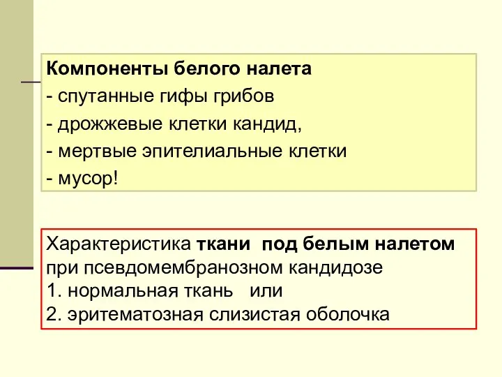 Компоненты белого налета - спутанные гифы грибов - дрожжевые клетки кандид, -