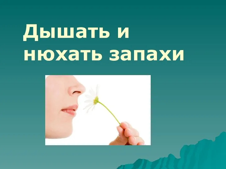 Дышать и нюхать запахи