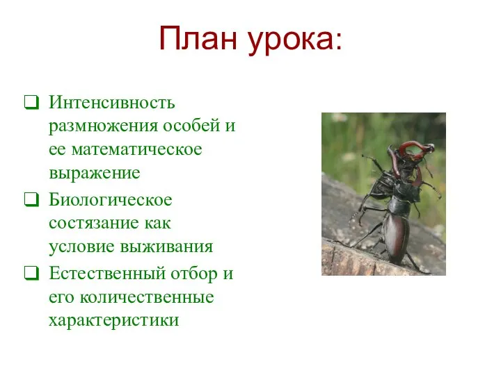 План урока: Интенсивность размножения особей и ее математическое выражение Биологическое состязание как