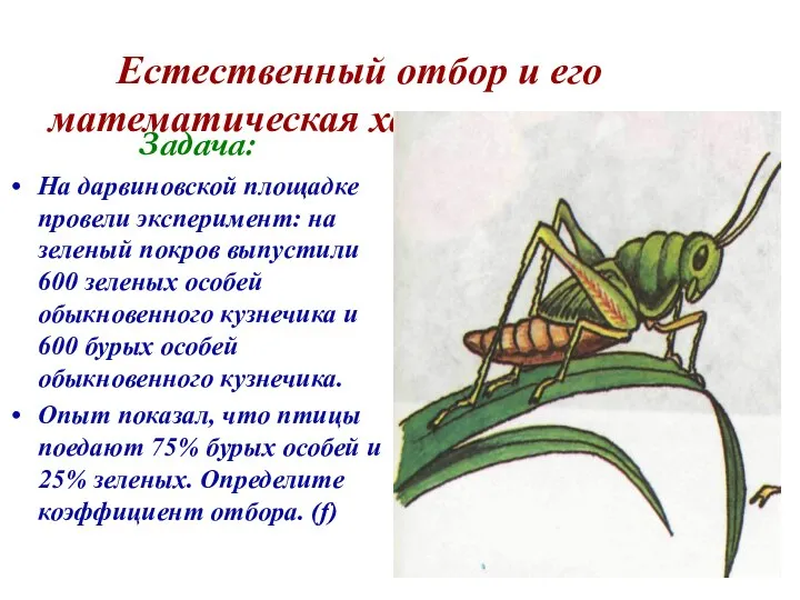 Естественный отбор и его математическая характеристика Задача: На дарвиновской площадке провели эксперимент: