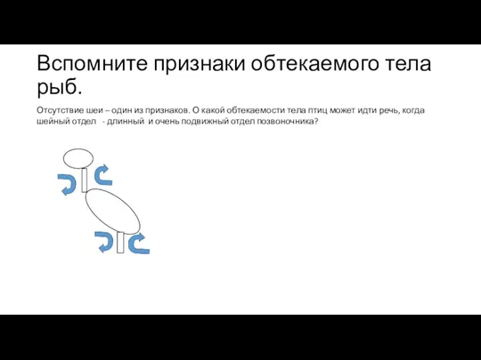 Вспомните признаки обтекаемого тела рыб. Отсутствие шеи – один из признаков. О