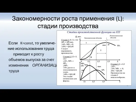 Закономерности роста применения (L): стадии производства Если K=const, то увеличе- ние использования