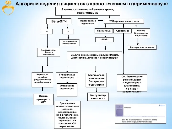 Алгоритм ведения пациенток с кровотечением в перименопаузе Анамнез, клинический анализ крови, коагулограмма