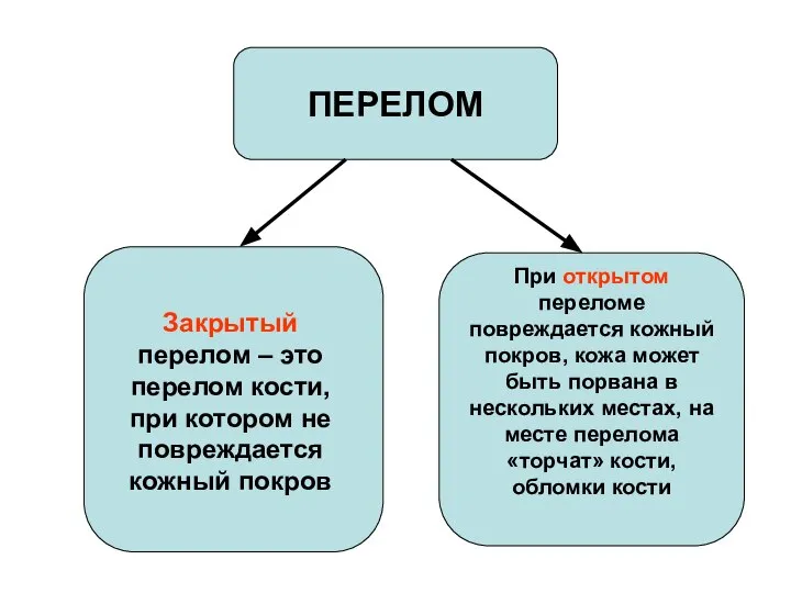 ПЕРЕЛОМ Закрытый перелом – это перелом кости, при котором не повреждается кожный