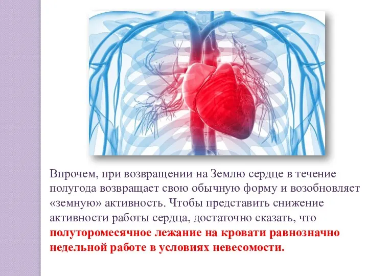 Впрочем, при возвращении на Землю сердце в течение полугода возвращает свою обычную