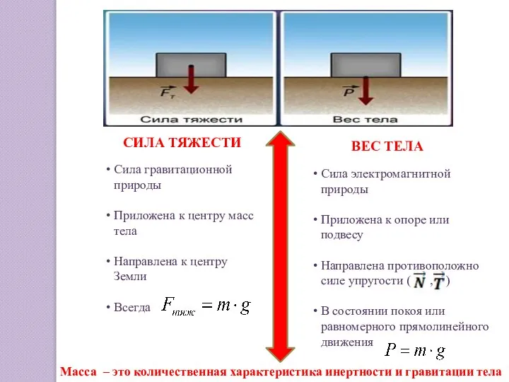 СИЛА ТЯЖЕСТИ Сила гравитационной природы Приложена к центру масс тела Направлена к