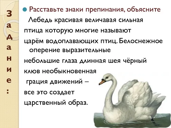 Задание: Расставьте знаки препинания, объясните Лебедь красивая величавая сильная птица которую многие