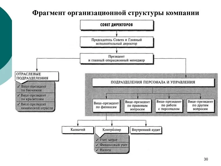 Фрагмент организационной структуры компании