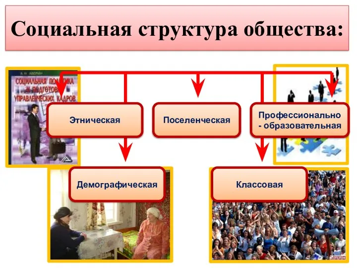 Социальная структура общества: Этническая Демографическая Поселенческая Классовая Профессионально - образовательная