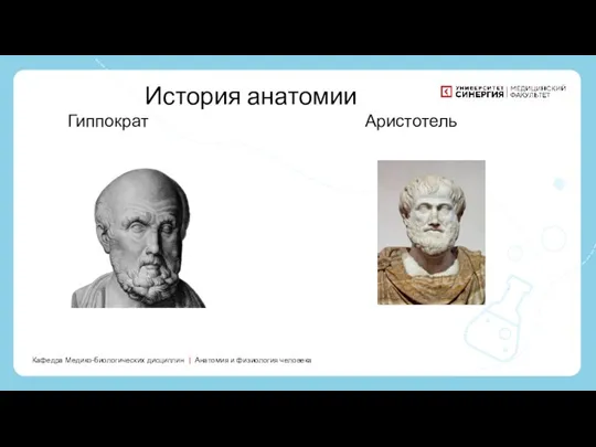 Кафедра Медико-биологических дисциплин | Анатомия и физиология человека История анатомии Гиппократ Аристотель