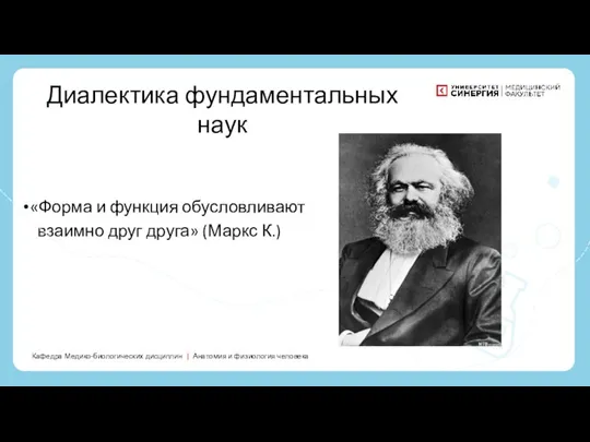 «Форма и функция обусловливают взаимно друг друга» (Маркс К.) «Форма и функция