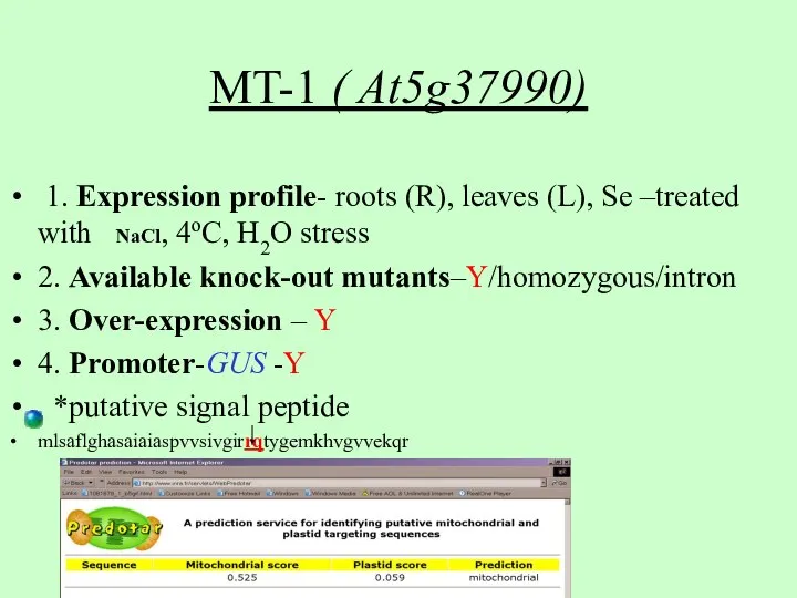 1. Expression profile- roots (R), leaves (L), Se –treated with NaCl, 4oC,