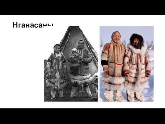 Нганасаны