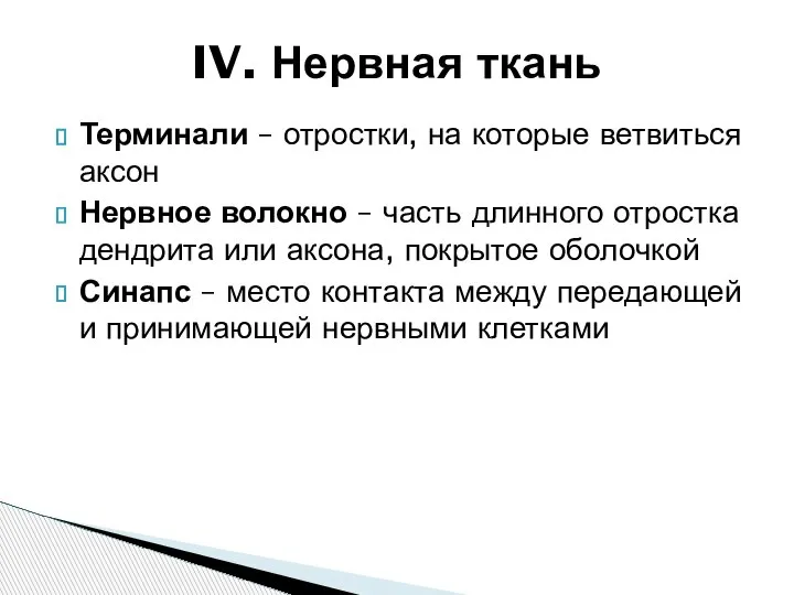 Терминали – отростки, на которые ветвиться аксон Нервное волокно – часть длинного