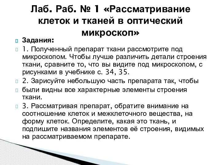 Задания: 1. Полученный препарат ткани рассмотрите под микроскопом. Чтобы лучше различить детали