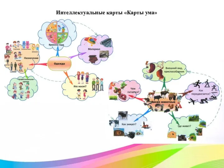 Интеллектуальные карты «Карты ума»