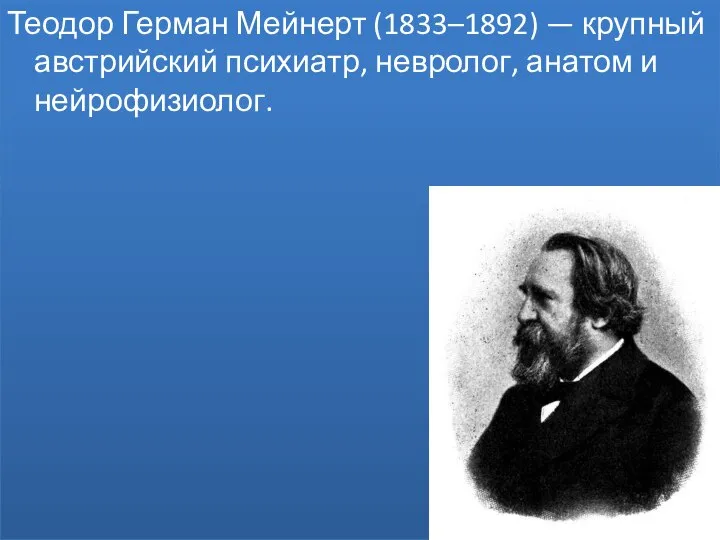 Теодор Герман Мейнерт (1833–1892) — крупный австрийский психиатр, невролог, анатом и нейрофизиолог.