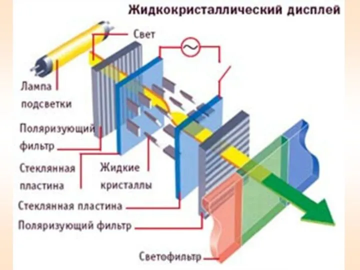 Чуев А.С.-2019