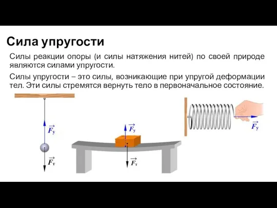 Сила упругости Силы реакции опоры (и силы натяжения нитей) по своей природе