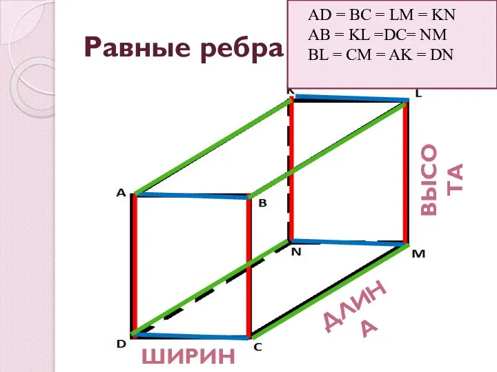 Равные ребра AD = BC = LM = KN АВ = KL