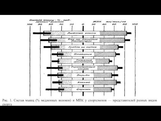 Рис. 1. Состав мышц (% медленных волокон) и МПК у спортсменов — представителей разных видов спорта