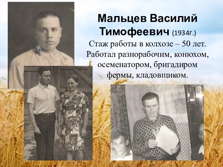 Мальцев Василий Тимофеевич (1934г.) Стаж работы в колхозе – 50 лет. Работал