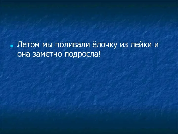 Летом мы поливали ёлочку из лейки и она заметно подросла!