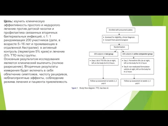 Цель: изучить клиническую эффективность простого и недорогого лечение против детской чесотки и