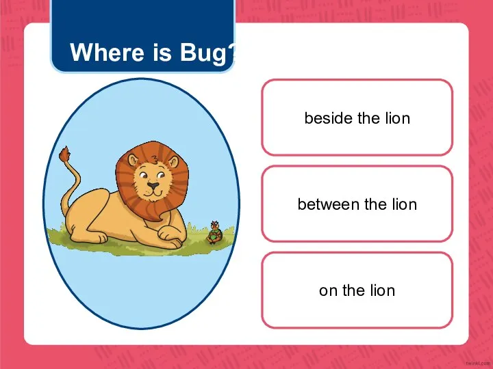 Where is Bug? beside the lion between the lion on the lion