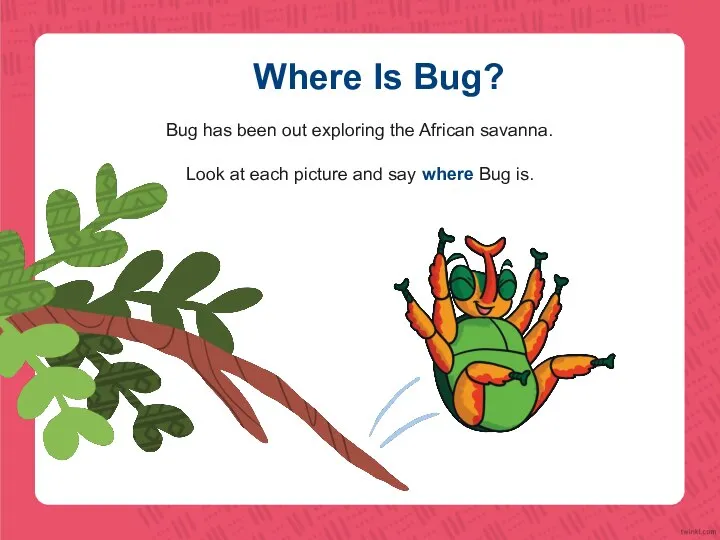 Where Is Bug? Bug has been out exploring the African savanna. Look