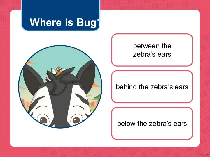 Where is Bug? between the zebra’s ears behind the zebra’s ears below the zebra’s ears