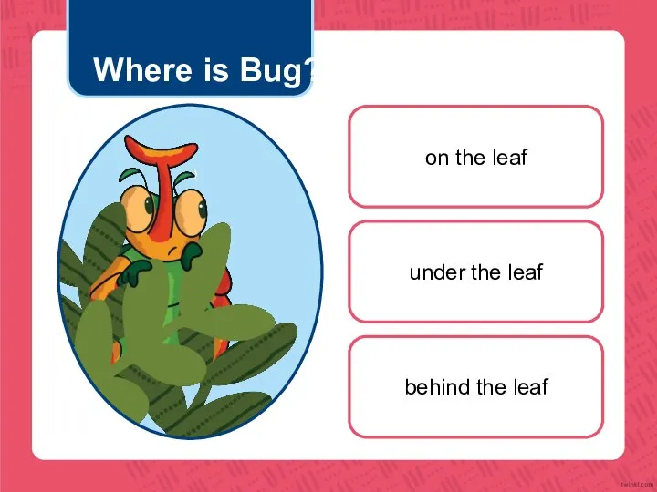 Where is Bug? on the leaf under the leaf behind the leaf