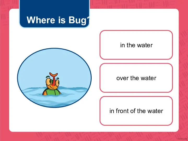 Where is Bug? in the water over the water in front of the water