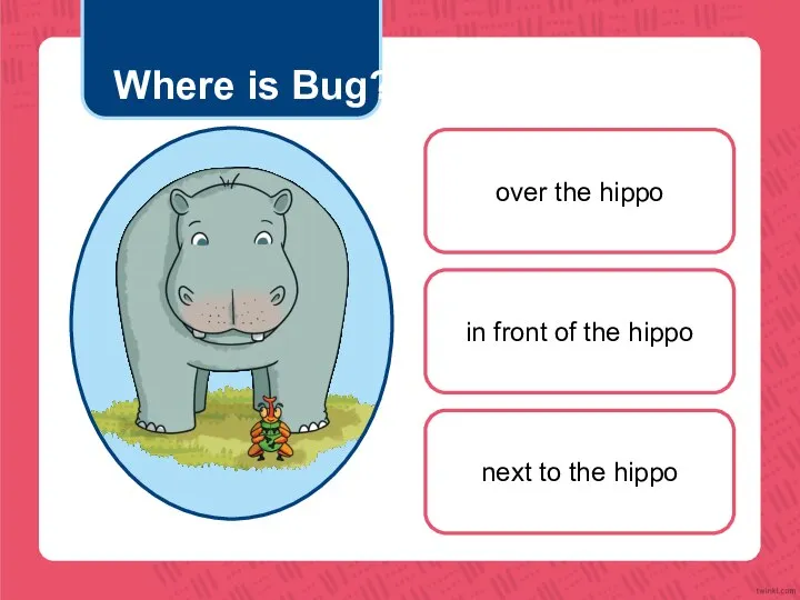 Where is Bug? over the hippo in front of the hippo next to the hippo