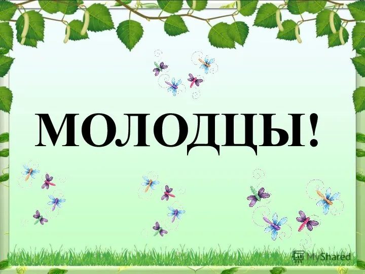 МОЛОДЦЫ!