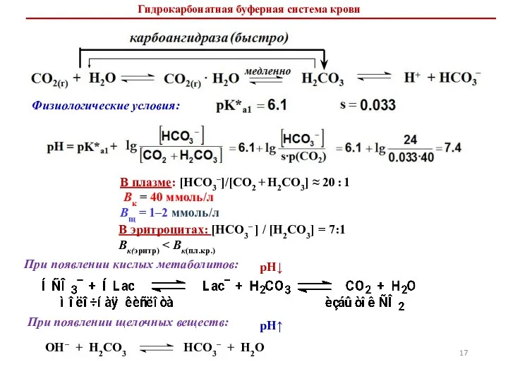 В плазме: [HCO3–]/[CO2 + H2CO3] ≈ 20 : 1 Bк = 40
