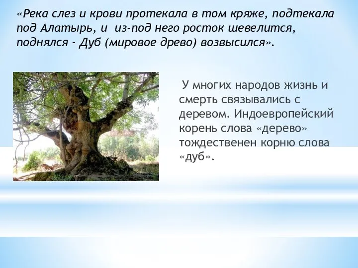 У многих народов жизнь и смерть связывались с деревом. Индоевропейский корень слова