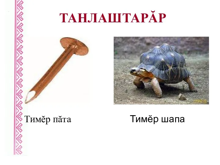 ТАНЛАШТАРĂР Тимĕр пăта Тимĕр шапа