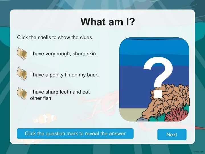 What am I? Click the shells to show the clues. I have