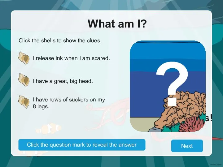 What am I? Click the shells to show the clues. I release