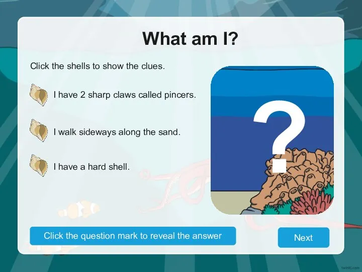 What am I? Click the shells to show the clues. I have