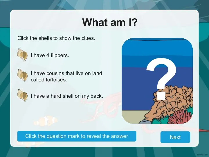 What am I? Click the shells to show the clues. I have