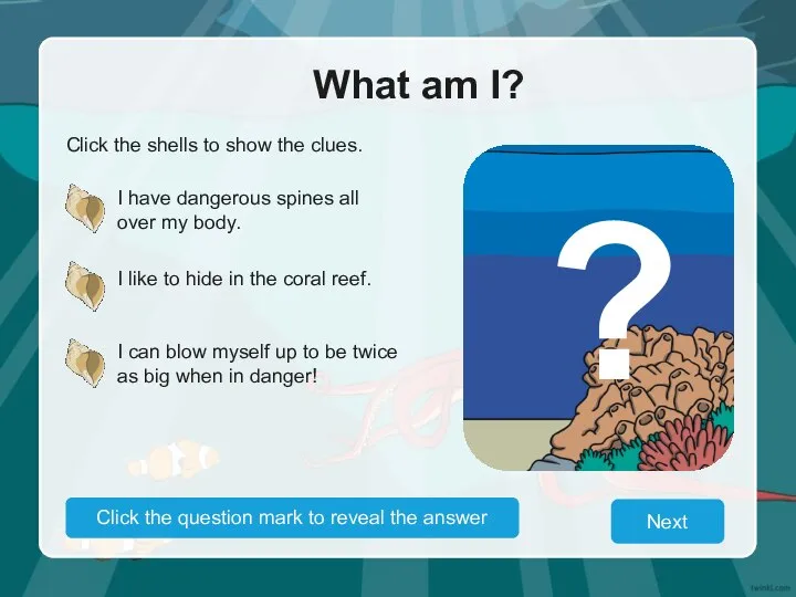 What am I? Click the shells to show the clues. I have